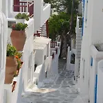 White And Grey Chora