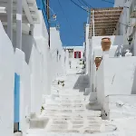 White And Grey Chora