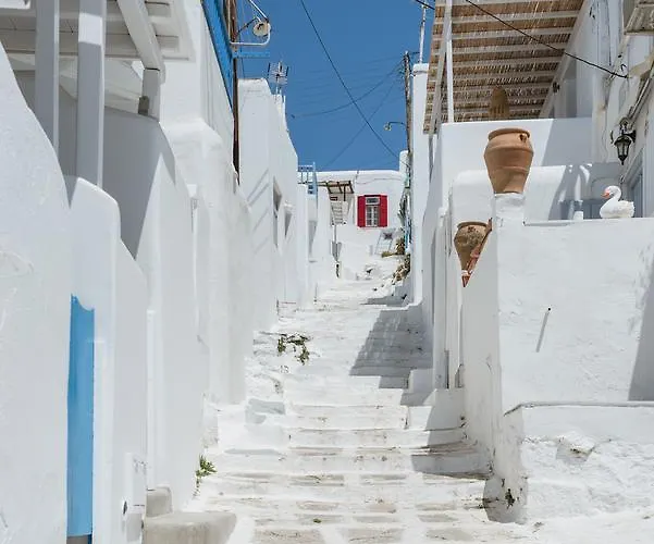 White And Grey Chora