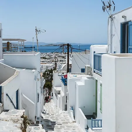 White And Grey Chora *