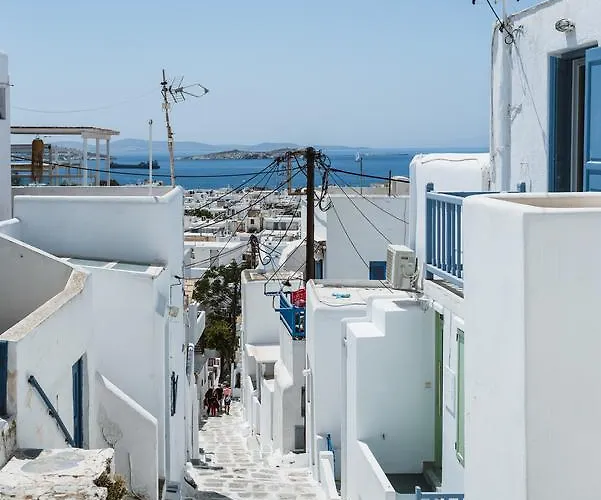 White And Grey Chora *